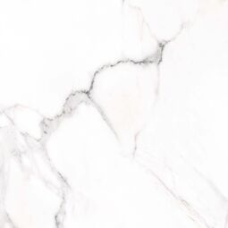 Vives, Doney, VIVES DONEY-R BLANCO GRES REKTYFIKOWANY 59.3X59.3 