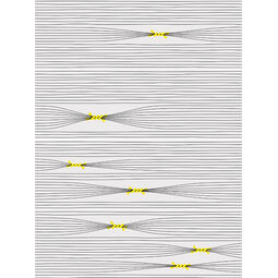 Vives, Inuit, VIVES OTOMI-4 DEKOR 25X75 