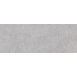 Vives, Kamala, VIVES KAMALA-R GRIS PŁYTKA ŚCIENNA 45X120 