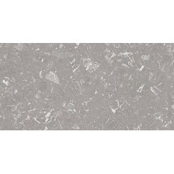 Vives, Luna, VIVES LUNA-R GRIS GRES PULIDO REKTYFIKOWANY 59.3X119.3 