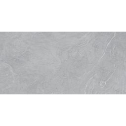 Vives, Salerno, VIVES SALERNO-R CENIZA GRES REKTYFIKOWANY 60X120 