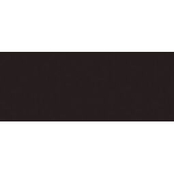 Vives, Satinados, VIVES NEGRO MATE PŁYTKA ŚCIENNA 20X50 