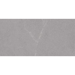 Vives, Seine, VIVES SEINE-R GRIS GRES REKTYFIKOWANY 29.3X59.3 