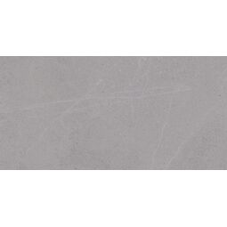 Vives, Seine, VIVES SEINE-R GRIS GRES REKTYFIKOWANY 44.3X89.3 