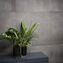 Marazzi Powder